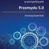 Informatyczne projekty badawczo-rozwojowe w perspektywie Przemysłu 5.0