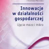 Innowacje w działalności gospodarczej. Ujęcie mezo i mikro