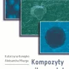 Kompozyty ceramika–metal