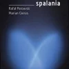 Laboratorium spalania