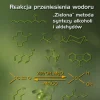 Reakcja przeniesienia wodoru. „Zielona” metoda syntezy alkoholi i aldehydów