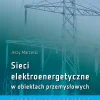 Sieci elektroenergetyczne w obiektach przemysłowych. Wybrane zagadnienia