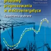 Współczesne problemy prognozowania w elektroenergetyce. Zagadnienia wybrane